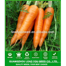 NCA07 Caitou семена моркови цена Гуанчжоу